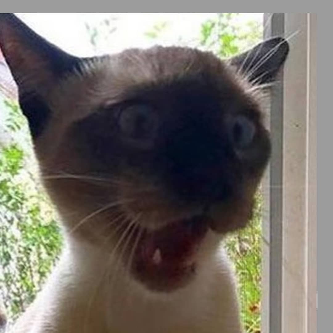 radioremont в LOOKY — фото 5