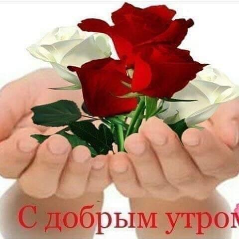lizafedotova674 в LOOKY — публикация