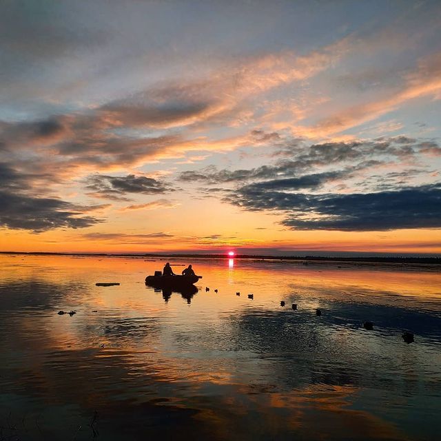 _a.a.arzhakov_ в LOOKY. . Сезон охоты🦆