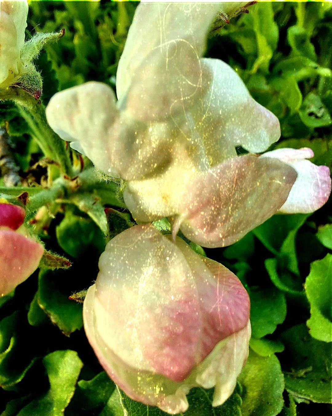 o.lizza_galizo в LOOKY — фото 7