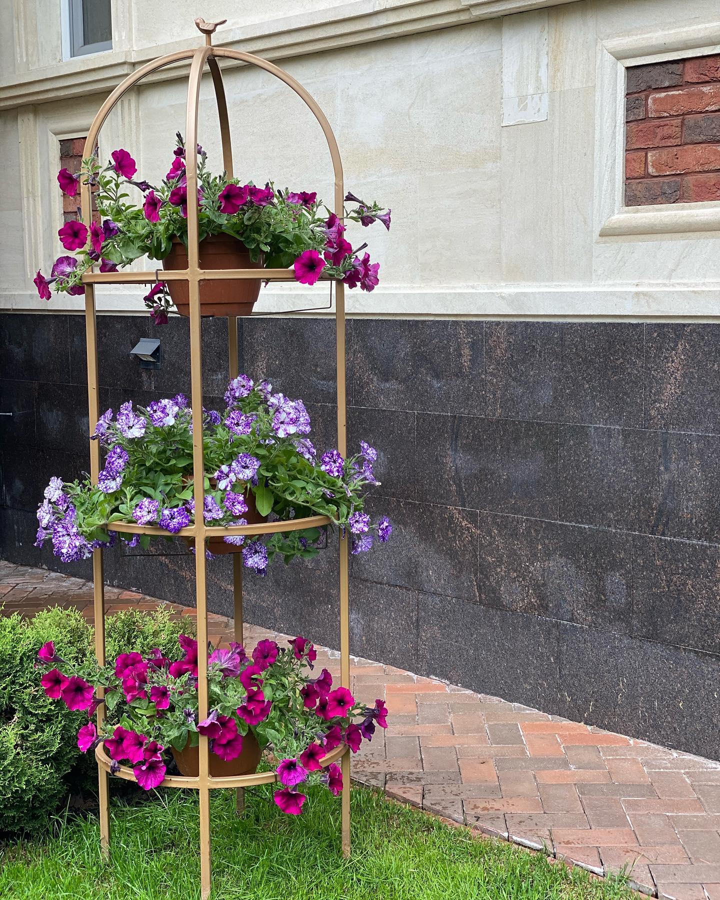 natali_guryanova_art в LOOKY — фото 6