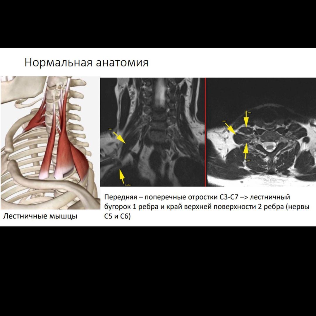 russianradiology в LOOKY — фото 2
