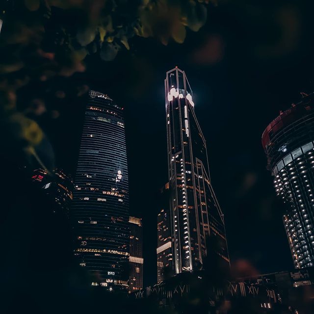 diplomat.ru в LOOKY. . null