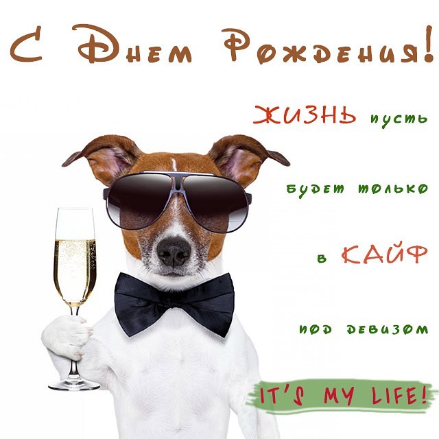 ludwig_stylish_sphynx в LOOKY — @shugamas_evgeny Прими мои поздравления с днем рождения! Жел