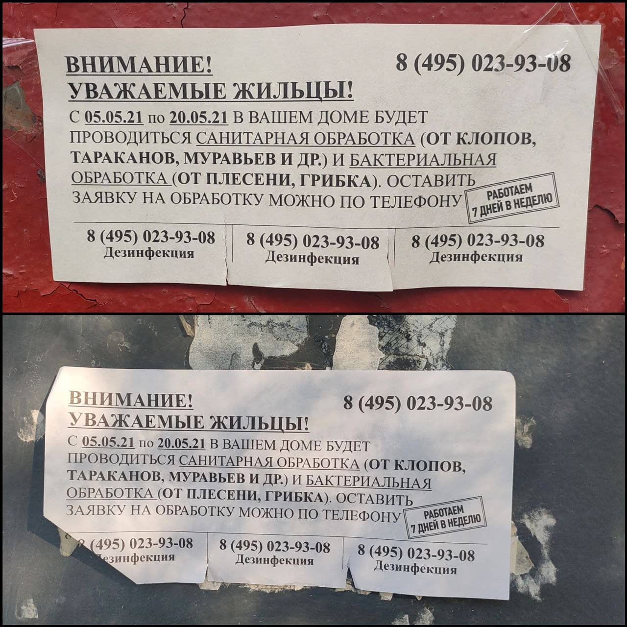 klopservis в LOOKY — "Если видишь на заборе:
"без клопов за сто рублей"

Или тут 