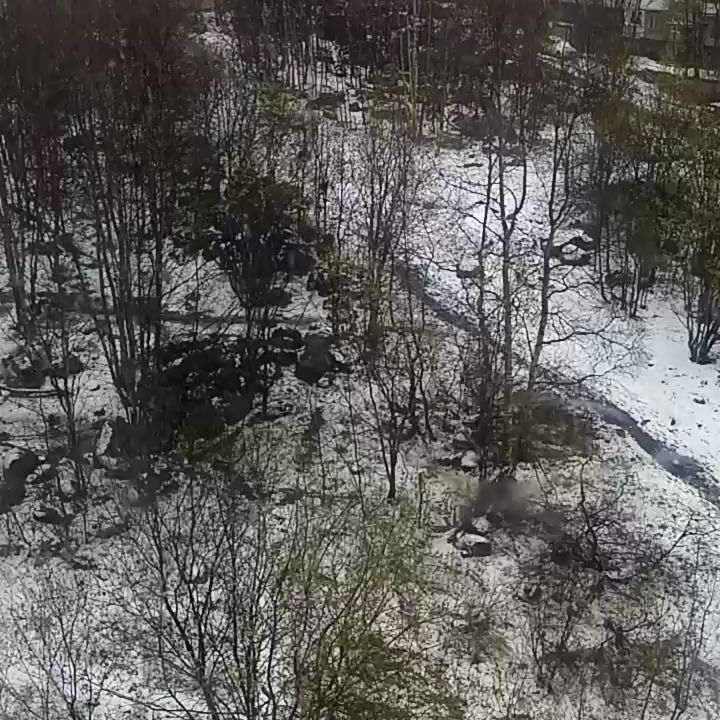 igy_mur в LOOKY. . Вам хочется снега? О...