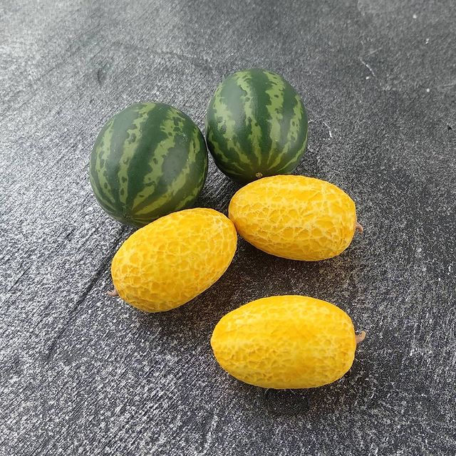 mousyspb в LOOKY. #miniatures,#miniaturefood,#dollfood,#dollhouse. Новый урожай овощей ...
