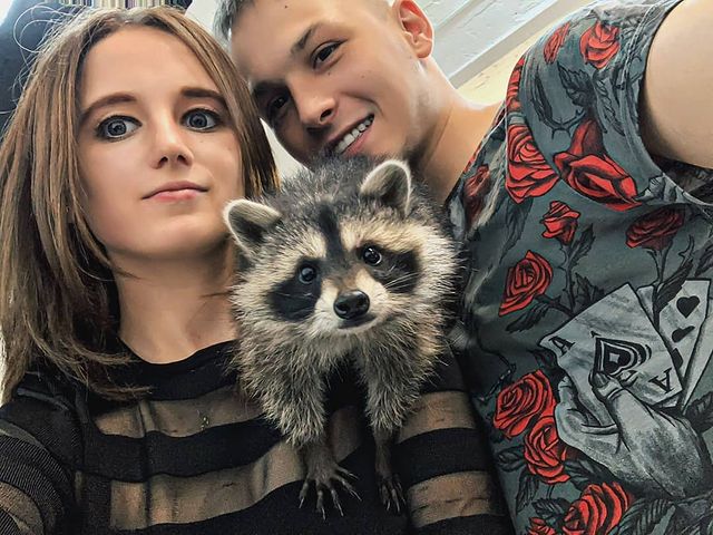 victor.migachev в LOOKY. . null