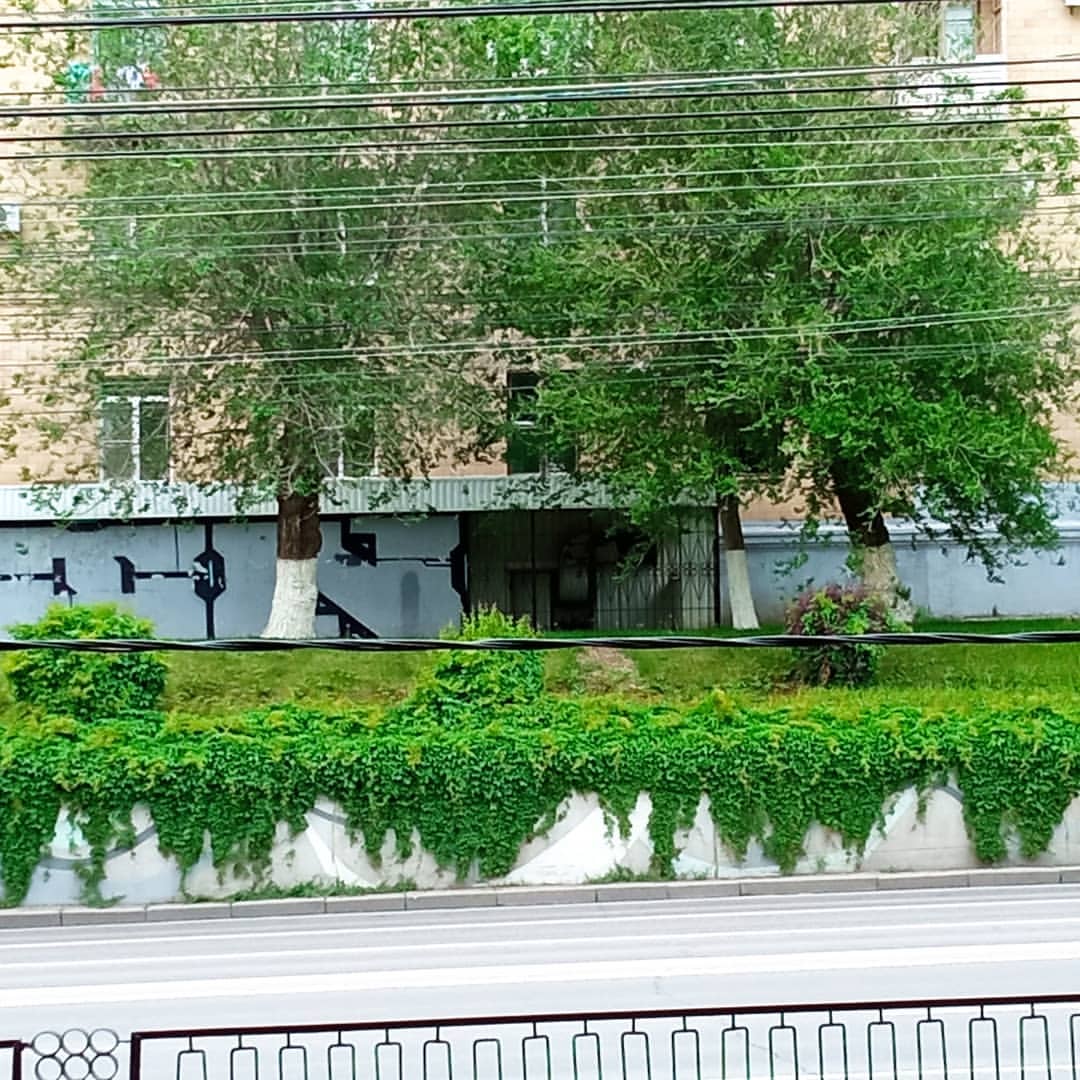 mad.scientist25 в LOOKY — Green wall - part II