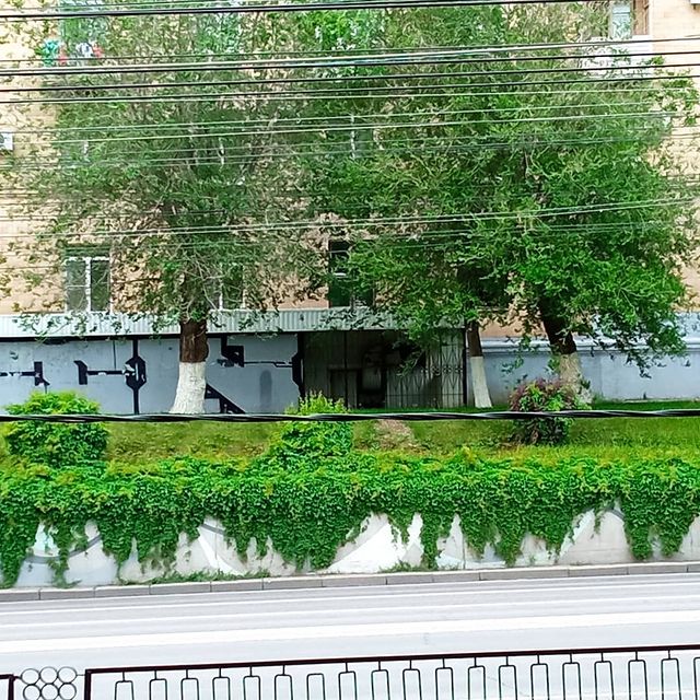 mad.scientist25 в LOOKY. . Green wall - part II