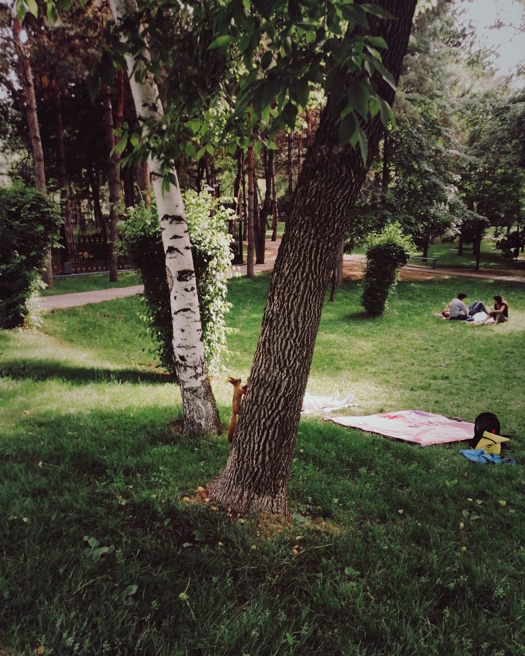 antar3 in LOOKY. #fimoapp,#koda200. #fimoapp #koda200