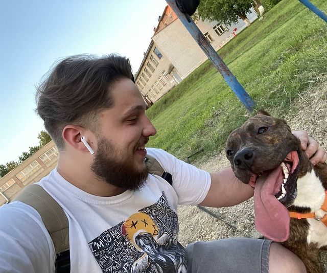 amstaff.beyli в LOOKY. #стафф,#собакаулыбака,#пушкаракета,#другчеловека,#бэйли. #стафф #собакаулыбак...