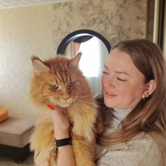 abramchik_888 в LOOKY. . Не ждите идеального ...