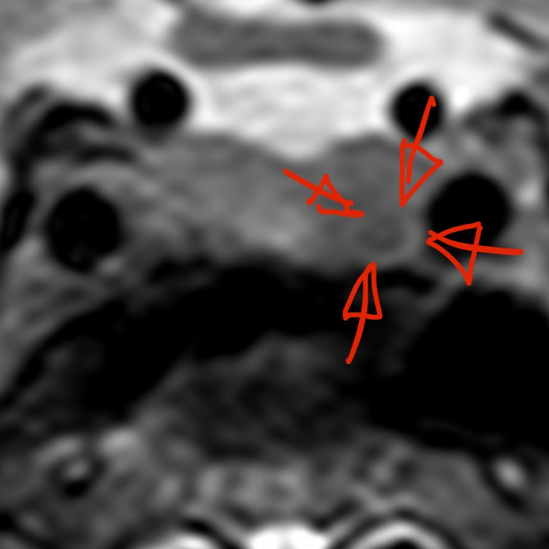 russianradiology в LOOKY — фото 2