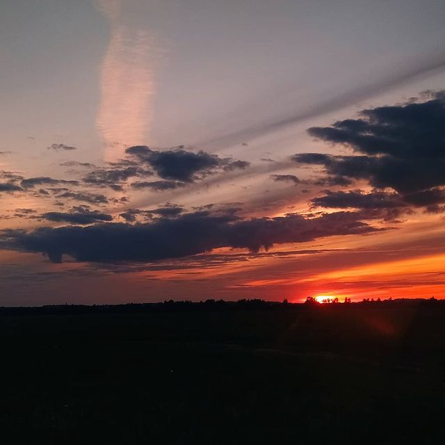 dimkaletow в LOOKY. . null