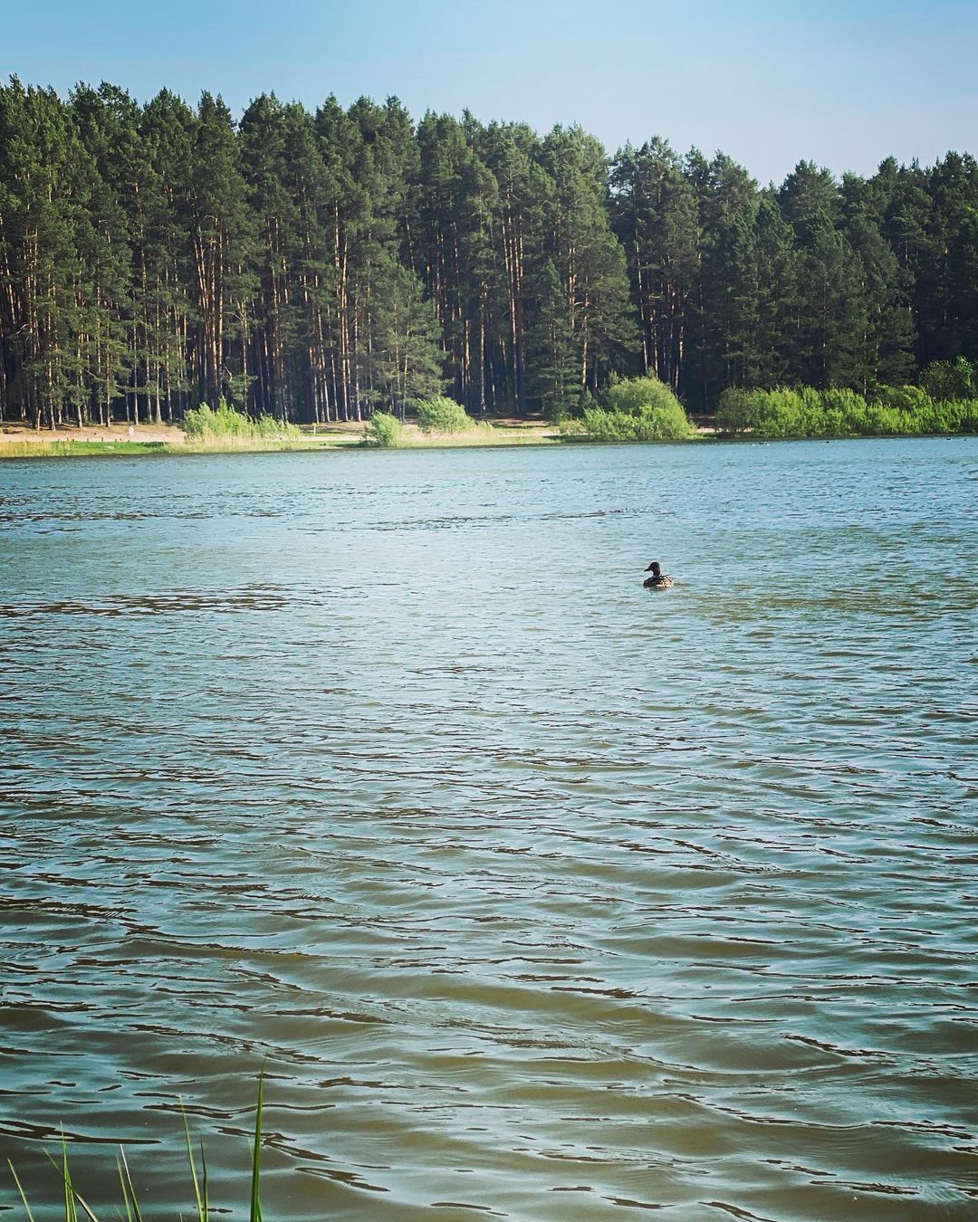 bobrova_a.a в LOOKY — фото 3
