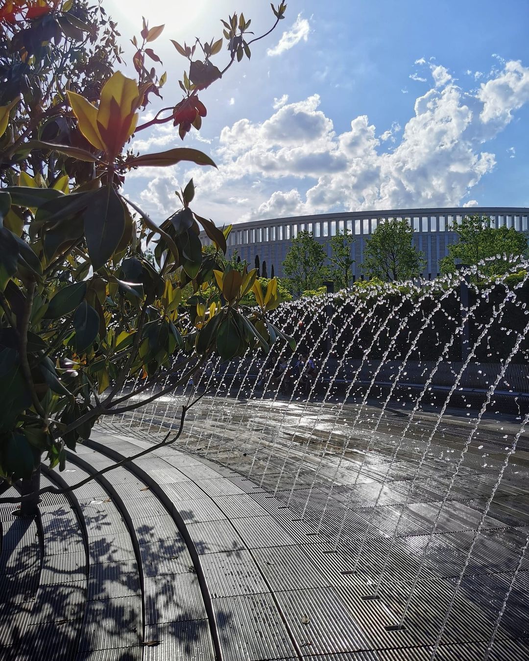 denis.nvrsk в LOOKY — фото 8