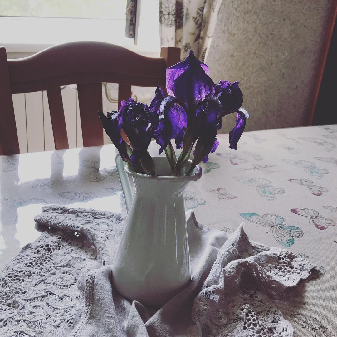 gipsophyla in LOOKY. . Завтра лето!