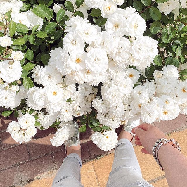 diana_gonharova в LOOKY. #tezzaapp,#aesthetic,#cozy,#ａｅｓｔｈｅｔｉｃ,#inspirerussia,#instablishment,#эстетика,#flowers,#весна,#краснодар,#aesthetics,#инстаграмнедели,#такяснимаю,#vscorussia,#visualseduction,#spring,#instarussia,#vscoclub,#vscocam,#instalife,#instagood,#instamoment,#krasnodar,#parisianstyle,#instamood. 𝑂ℎ 𝑚𝑎𝑦
•
•
•
•
•...