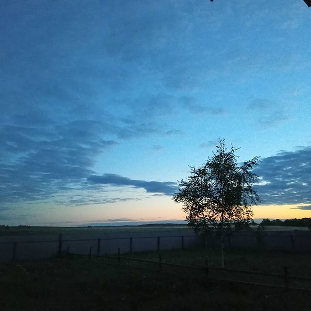 kare_neya в LOOKY. . В Журавке резко захо...
