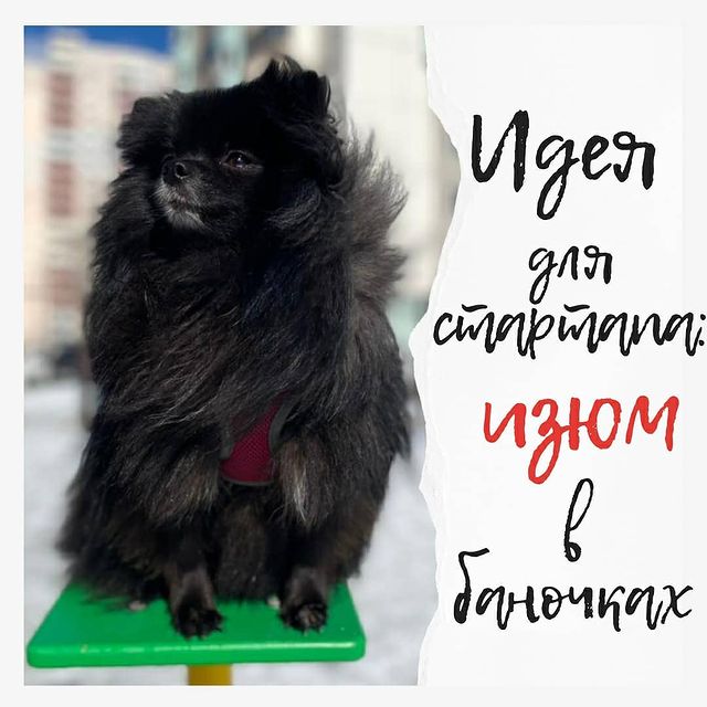 l_berengard в LOOKY. . ИДЕЯ ДЛЯ СТАРТАПА: И...