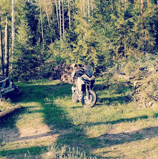 ed_danilov в LOOKY. . Не порупайте Ducati ...