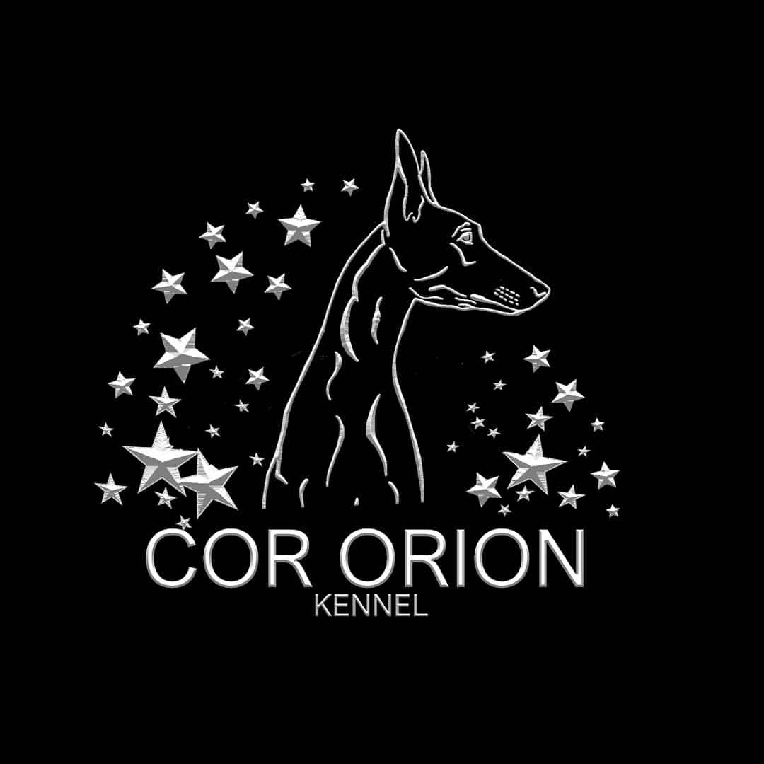 cor_orion_kennel в LOOKY — фото 2