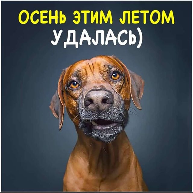 karinchik_love_is в LOOKY. . Лето, ах, лето...