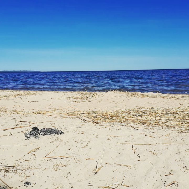 andrewdem37 в LOOKY. . лето. море. солнце. ...