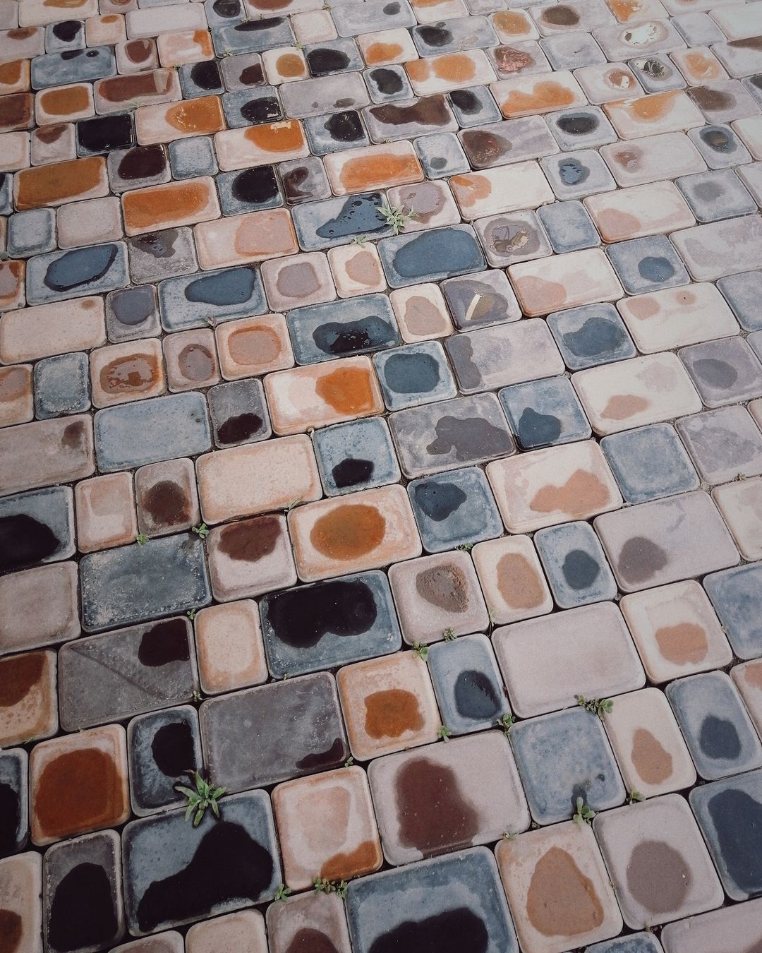 antar3 in LOOKY. #fimoapp. #fimoapp