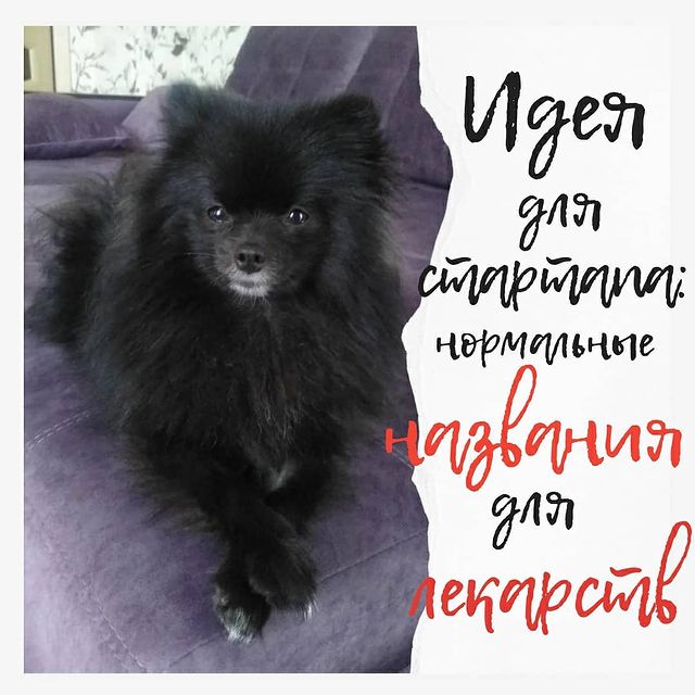 l_berengard в LOOKY. . ИДЕЯ ДЛЯ СТАРТАПА: Н...
