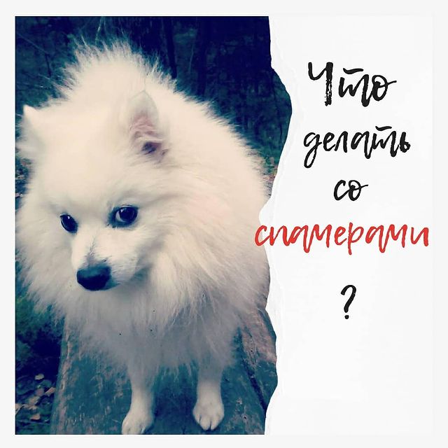 l_berengard в LOOKY. #спамеры,#кризис,#какнайтиклиентов,#какзаработать. ЧТО ДЕЛАТЬ СО СПАМЕР...
