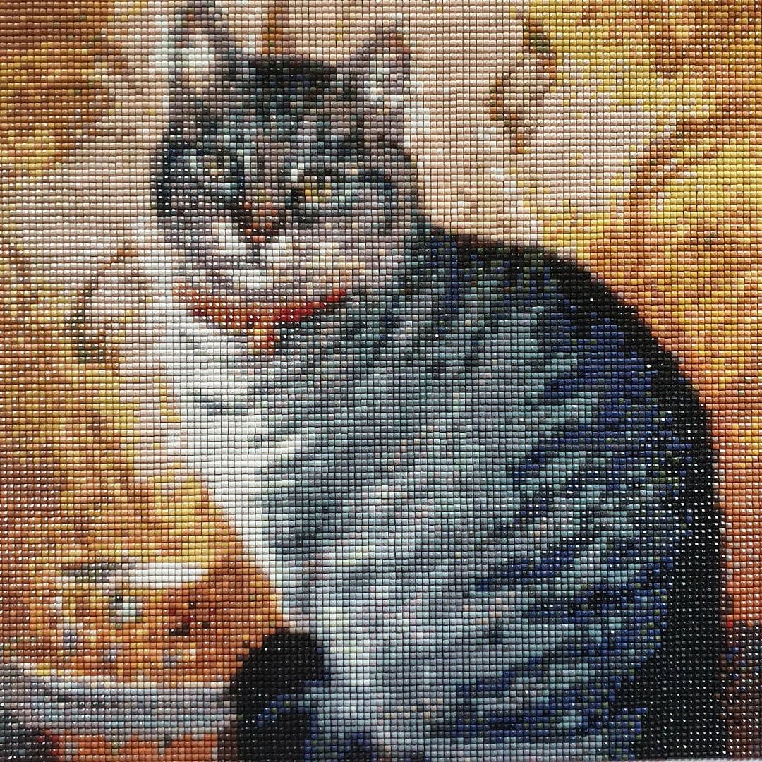 ang_jack в LOOKY — Мася укатила с хозяйкой домой. 😊 #хобби #hobby