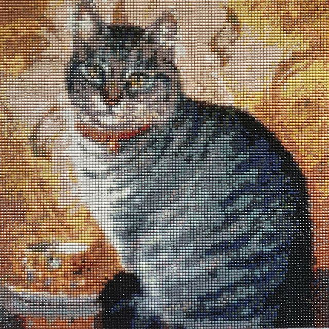 ang_jack в LOOKY. #хобби,#hobby. Мася укатила с хозяй...