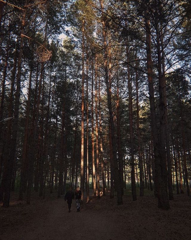 666.nazgul.666 в LOOKY. . Искры новой зари