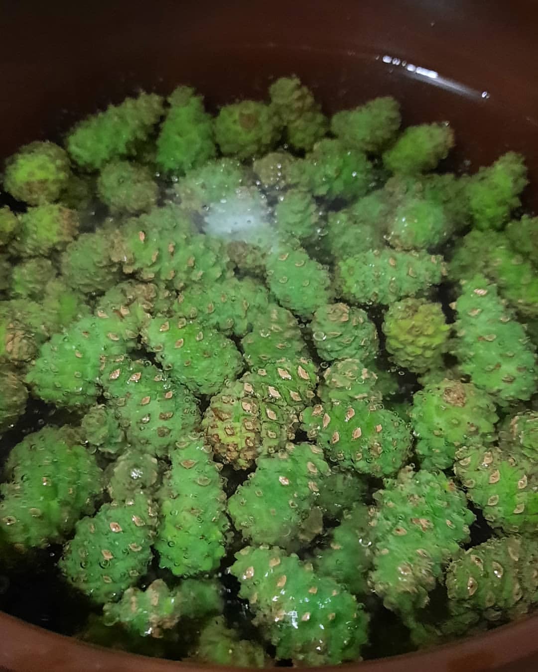 l.e._l.e.n.a в LOOKY — фото 2