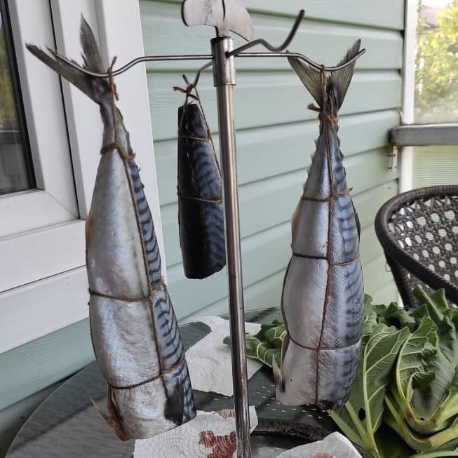 marina.v.zubkova в LOOKY — фото 3