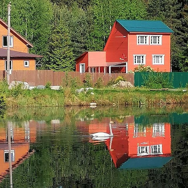 marina.v.zubkova в LOOKY. #лето#друзья#отдыхнадаче#жизньпрекрасна. Идиллия загородной ж...