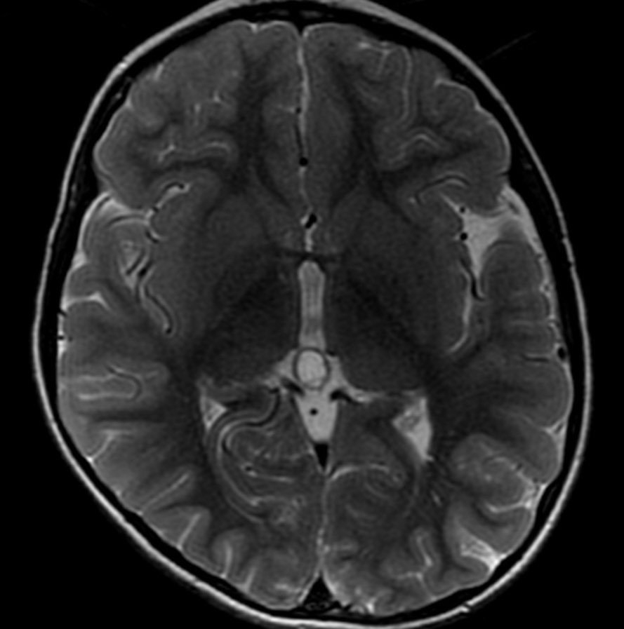russianradiology в LOOKY — фото 4