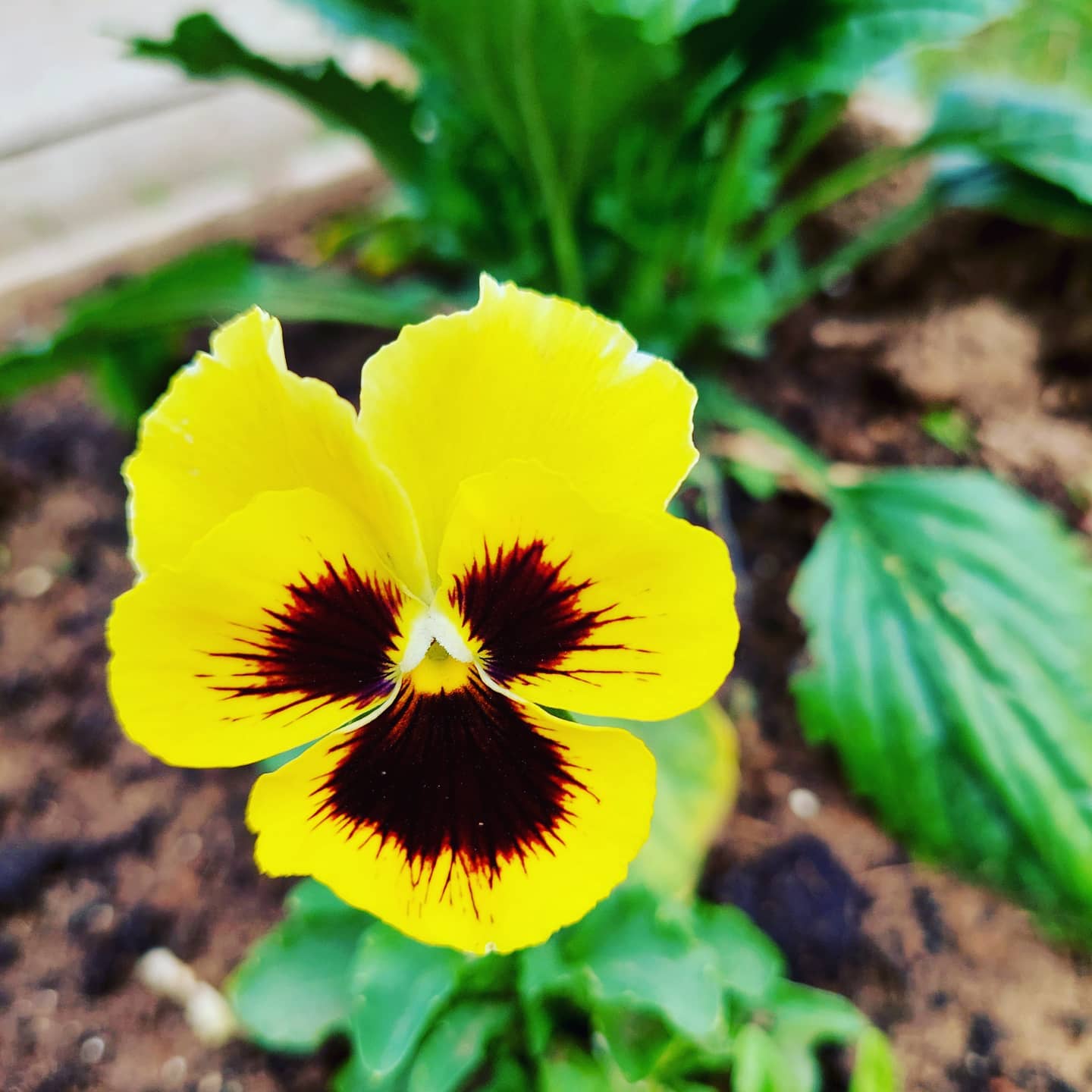 olgaserbul6323 в LOOKY — фото 6