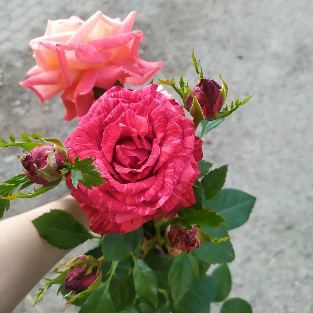 annavovina94 в LOOKY. . null
