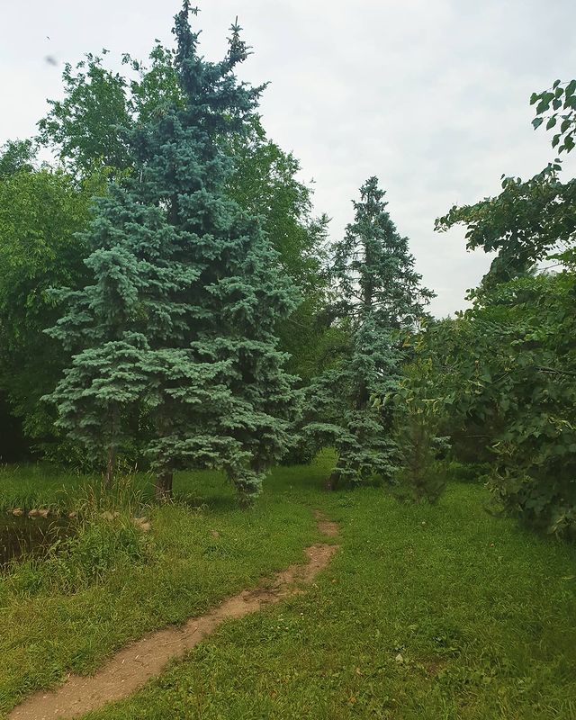 marina_kubichek в LOOKY. . null