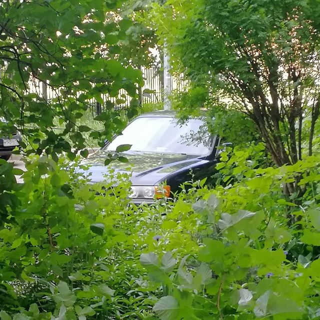 ycbl_ov4arki в LOOKY. #jzx100,#tourers,#tourerv,#chaser,#forest,#チェイサー,#トヨタ. Ля какой. Притаился
...