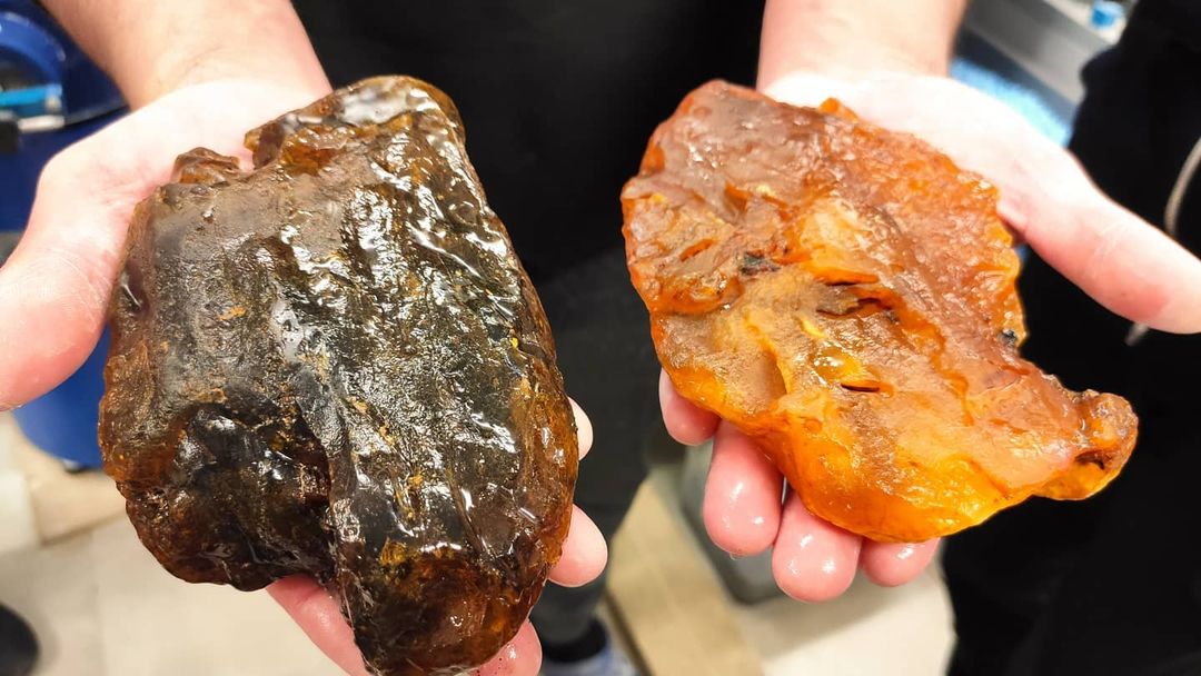 alishadonru в LOOKY — фото 7