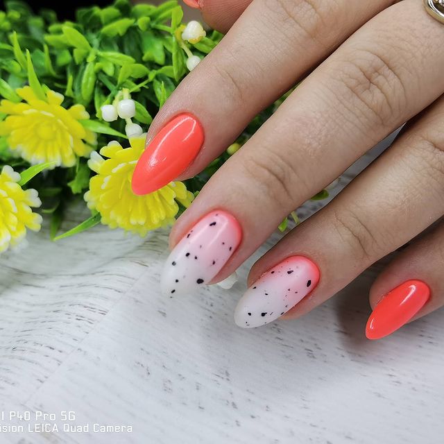 abramchik_nails_khv в LOOKY. #ногтихабаровск,#хабаровск,#маникюр,#гельлак,#шилак,#красивыеногти,#наращиваниеногтей,#ногтиkhv27,#ногтихабаровскманикюр. #ногтихабаровск #хаб...