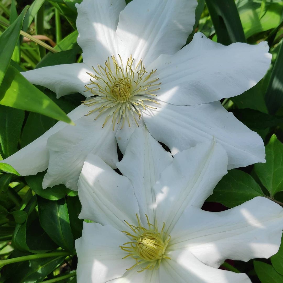 osberry195 в LOOKY — фото 6