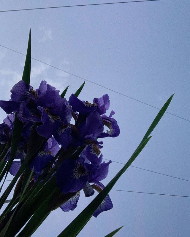 sadeyes_xx в LOOKY. . Продолжаем уроки бот...