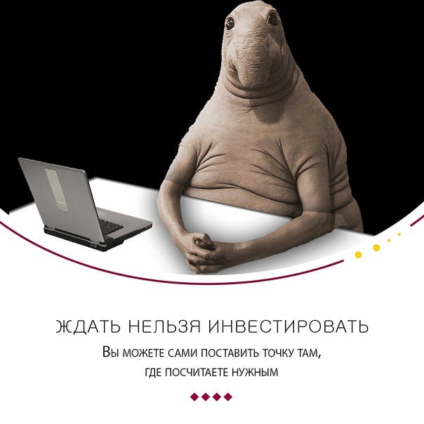 dankalukianov в LOOKY. . ЖДАТЬ НЕЛЬЗЯ ИНВЕСТИ...