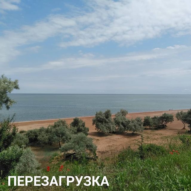 nadezhda_lisa_life в LOOKY. #новыймировойбардак. Как не сойти с ума �...