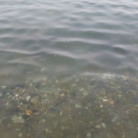 nastasia8783 в LOOKY. . Доброе утро ☺️